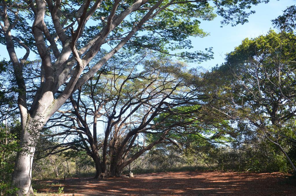 Pousada Terras Do Poente Vale do Capao Zewnętrze zdjęcie